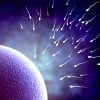 Fertility Spells - Image 4