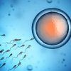 Fertility Spells - Image 3