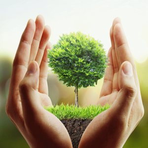 Natures Cycle-Specials